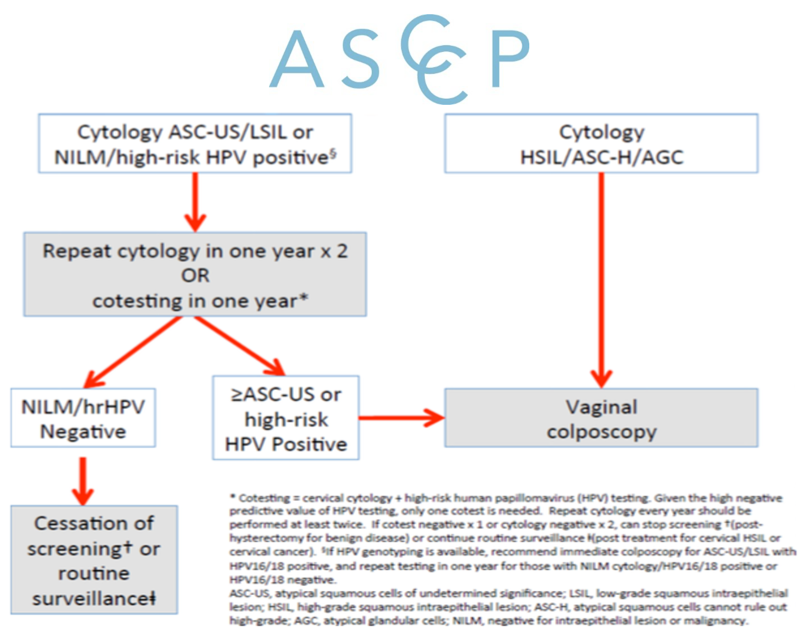 pearls-abnormal-vaginal-cytology-figure-2024